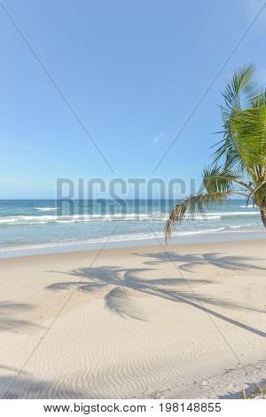 Amazing View Of The Beaches Near Itacare