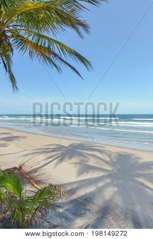 Impressive Paradise Beach At The Itacare Bahia Brazil
