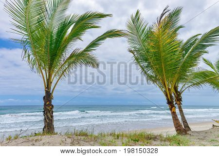 Impressive Paradise Beach At The Itacare Bahia Brazil