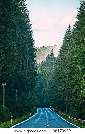Straight empty asphalt raod in forest with misty mountains in background