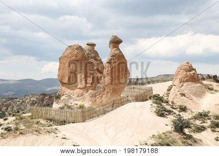 Camel Shaped Rock Formation In Devrent Valley, Cappadocia