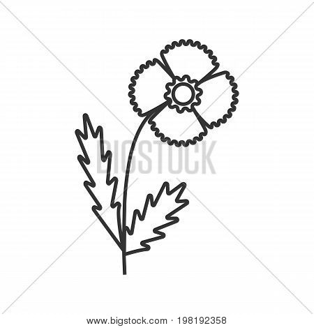Poppy flower linear icon. Blooming plant thin line illustration. Wildflower contour symbol. Vector isolated outline drawing