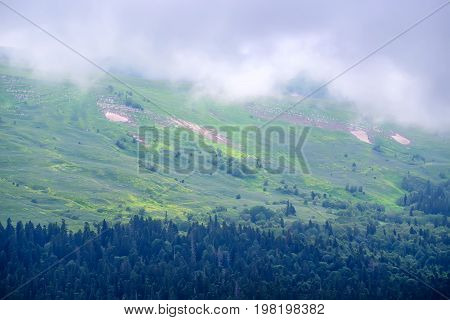 Landscape of subalpine mountain meadow and forest in Caucasus, Russia