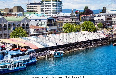 Fish Market In Valdivia