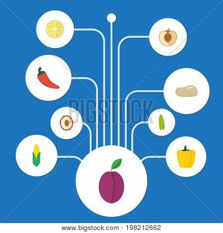 Flat Icons Praties, Bean, Maize And Other Vector Elements