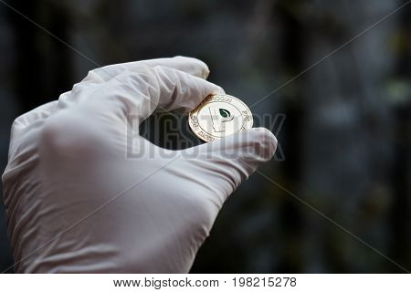 Gold Peercoin Coin