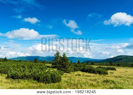 Beautiful Mountain Landscape And Meadow
