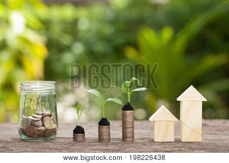 Money and plant Saving money concept concept of financial savings to buy a housetrees growing in a sequence of germination on piles of coins Growth business money.