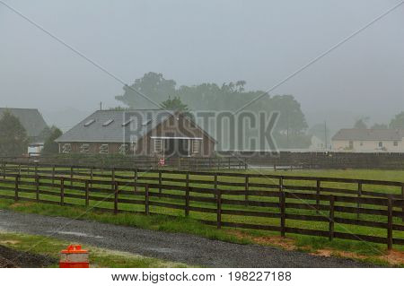 Beautiful heavy summer rain Storm is heavy rain