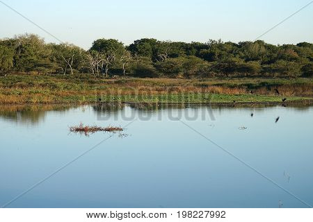 A Lake in the Swaziland National Park.