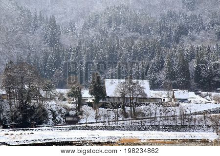 An old Gassho-Zukuri style farm in the shadow of the mountains of Shirakawa-go