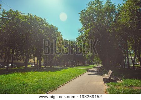 A deserted boulevard in the center of the city in bright sunny summer weather