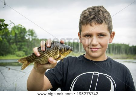 In the summer on a fishing little curly boyl caught a large carp.