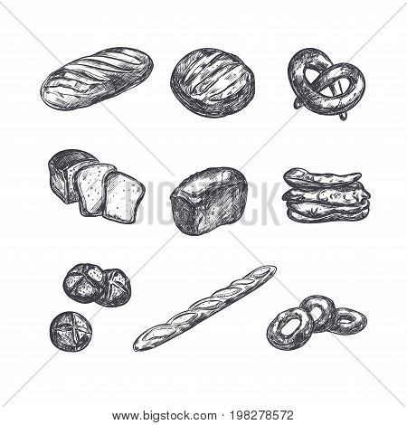Bakery shop collection. Different types of bread. hand drawn illustrations. Windmill