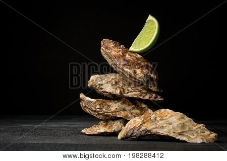 A close-up of four salty oysters on a black table background. Fresh sea mollusks and a piece of green lime. Expensive and tasty ingredients for gourmets. Traditional restaurant appetizer. Copy space.