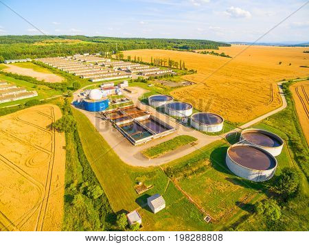 Aerial view to biogas plant from pig farm in ripe wheat fields. Renewable energy from biomass. Summer on countryside. Modern agriculture in European Union. 