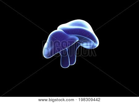 Rendered image of 3D blue with white rim mushrooms isolated on a black background done in a slightly psychedelic manner