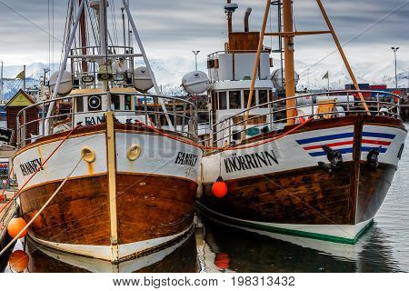 Traditional Whale Watching Boats Lying In The Harbor Of Husavik , Northern Coast Of Iceland