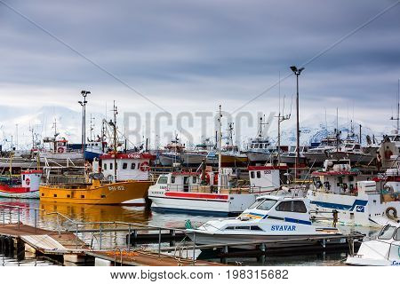 Traditional Whale Watching Boats Lying In The Harbor Of Husavik , Northern Coast Of Iceland