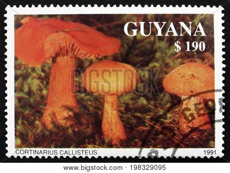 GUYANA - CIRCA 1991: a stamp printed in Guyana shows Cortinarius Callisteus Agaric Mushroom circa 1991