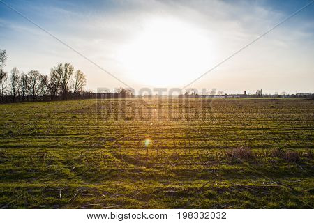 Field in the Po Valley at sunset