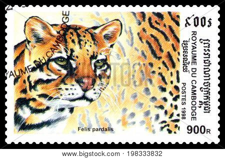 STAVROPOL RUSSIA - August 04 2017 : A Postage Stamp Printed in the Cambodia shows Ocelot (Felis pardalis) series circa 1998
