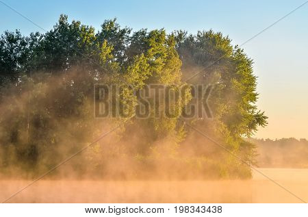 Summer morning landscape. Islet with trees on the lake.