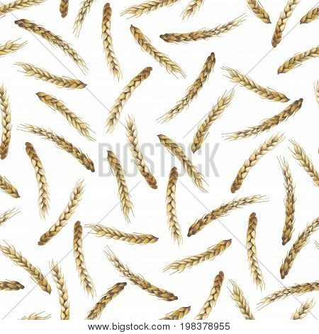 Watercolor malt seamless pattern. Hand painted design with cereals