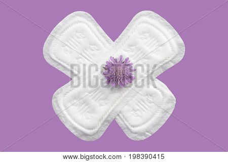 Daily menstrual woman pads for hygiene or blood period. Menstruation sanitary soft pads with flowers hygiene protection. Woman critical days gynecological menstruation cycle. Medical concept photo