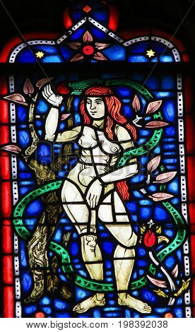 Stained Glass In Worms - Eve And The Snake
