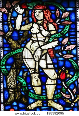 Stained Glass In Worms - Eve And The Snake