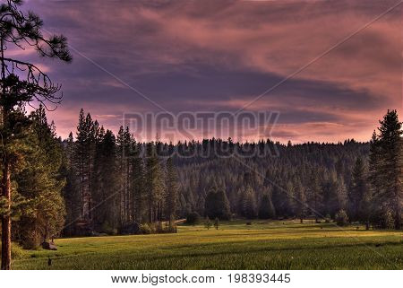 Pink clouds over a Sequoia forest around a grassy meadow.