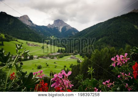 Dolomite landscapes in the summer green of Trentino