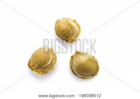 Apricot kernels on white ground, pictures of apricot kernels used in medicine and pill making,