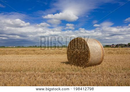 Straw bales are standing in the sun after the harvest in late summer