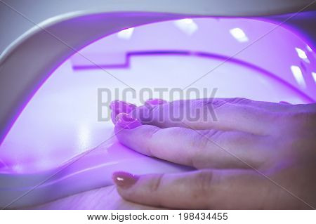UV lamp gel polish manicure process in a beauty salon. Salon procedure. The master coats the client's nails with a varnish.