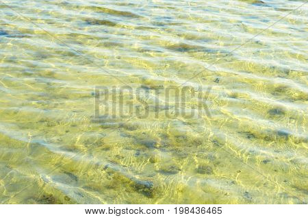Texture of a yellow water surface. Sandbed. Black sea coast background. Sea surface a sand background with copy space. Clear water and the yellow sandy bottom of the sea. Texture background of a yellow water surface.