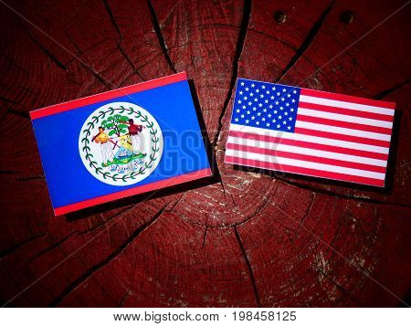Belize Flag With Usa Flag On A Tree Stump Isolated