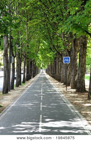 Pista de ciclo