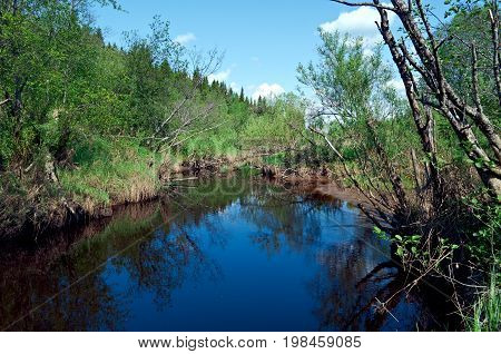 Spring on the river.Arkhangelsk oblast. ussian North.