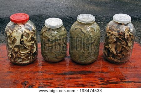Dried and tired mushrooms in four glass jars on a wooden table