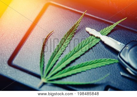 Green cannabis leaf, marijuana for cigarettes lies on a dark background with car keys. Concept transportation, dealership, transportation of drugs, hemp and leaves.
