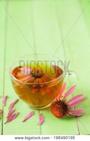 Cup of echinacea tea on green wooden table with copy space for your text.