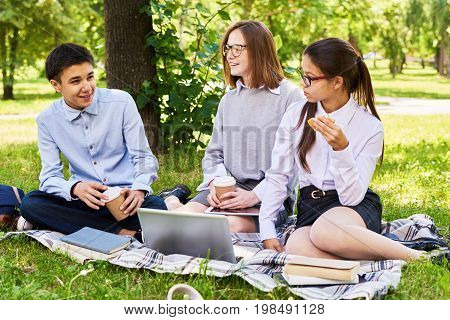 Group of happy students enjoying picnic on green lawn of school yard, chatting and using laptop
