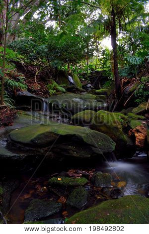 The Creek At Spofforth Reserve Cremorne Sydney