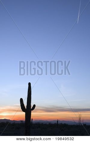 Plane flying over a saguaro cactus at sunset