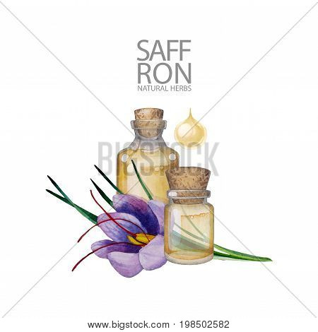 Watercolor bottle of essential oil decorated with saffron leaves and flower. Hand painted natural design isolated on white background