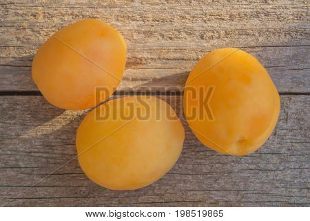 Three ripe orange apricots in the plastic plate on grey wooden background