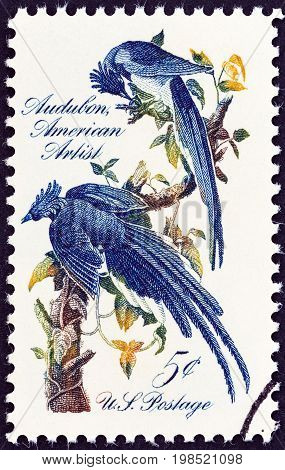 USA - CIRCA 1967: A stamp printed in USA shows Columbia Jays by John James Audubon, circa 1967.