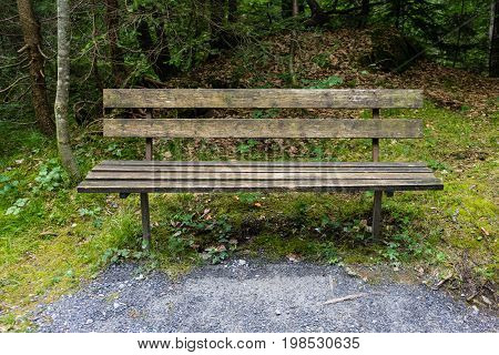 wood bench in forest near caumasee in switzerland